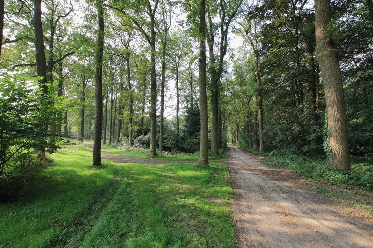 Heerenbeek
