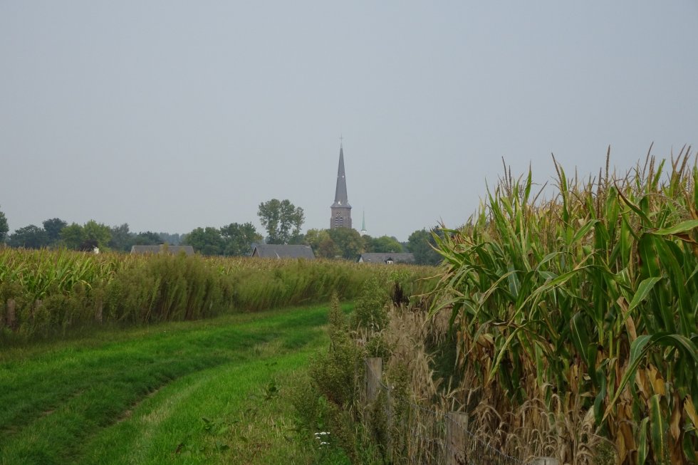 Niets nieuws onder de zon