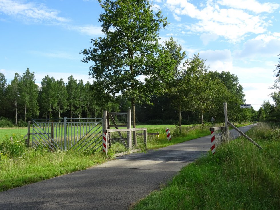 Wildrooster Monnikenweg