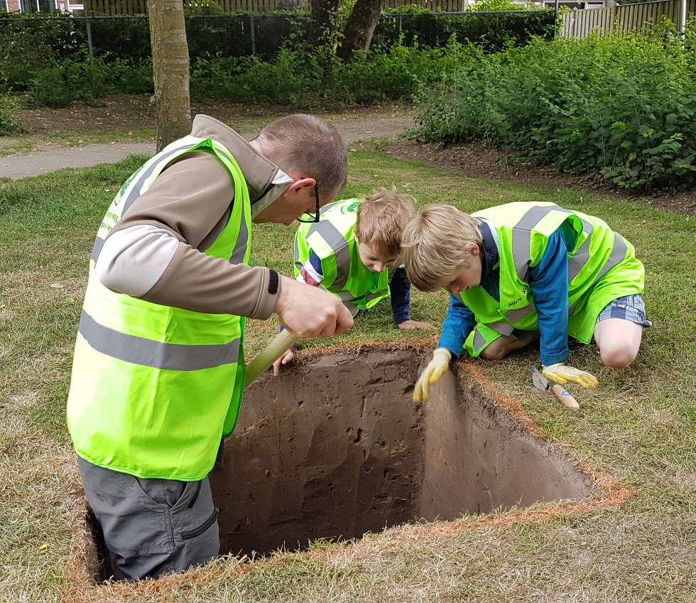 CAREWoensel2019