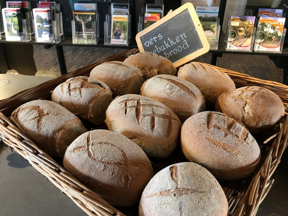 Brood1