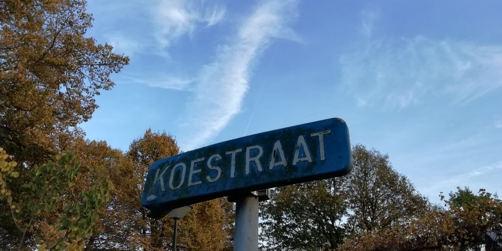 Koestraat
