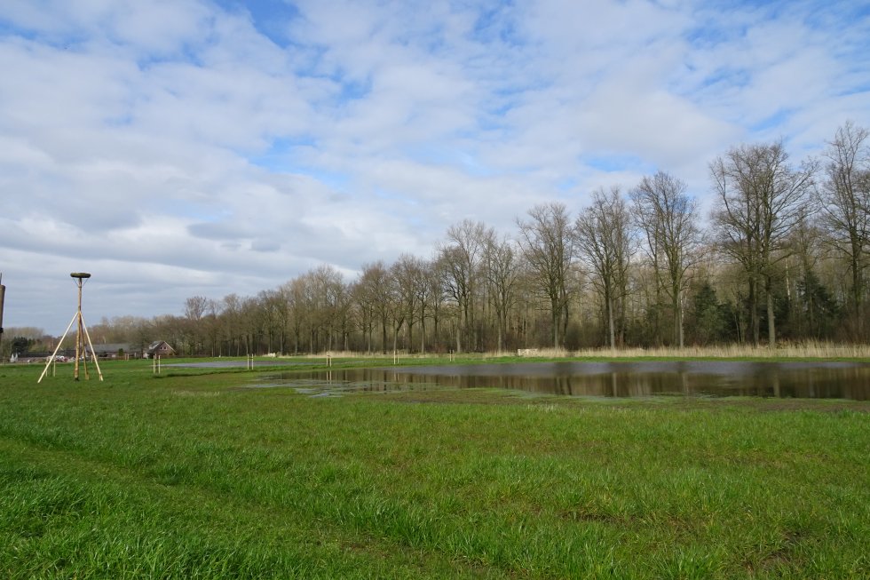 Rouwbommel2