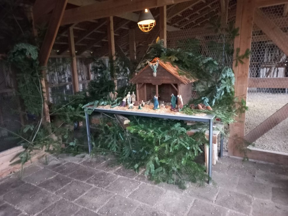 kerststalGrootDuijfhuis