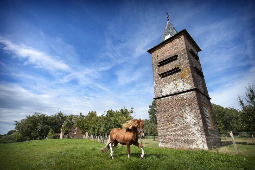 Duiventoren