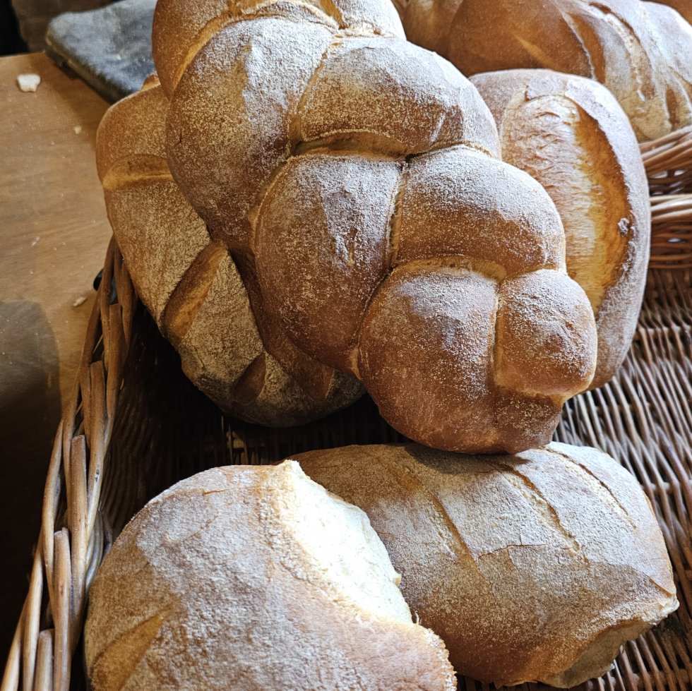 Vers gebakken brood